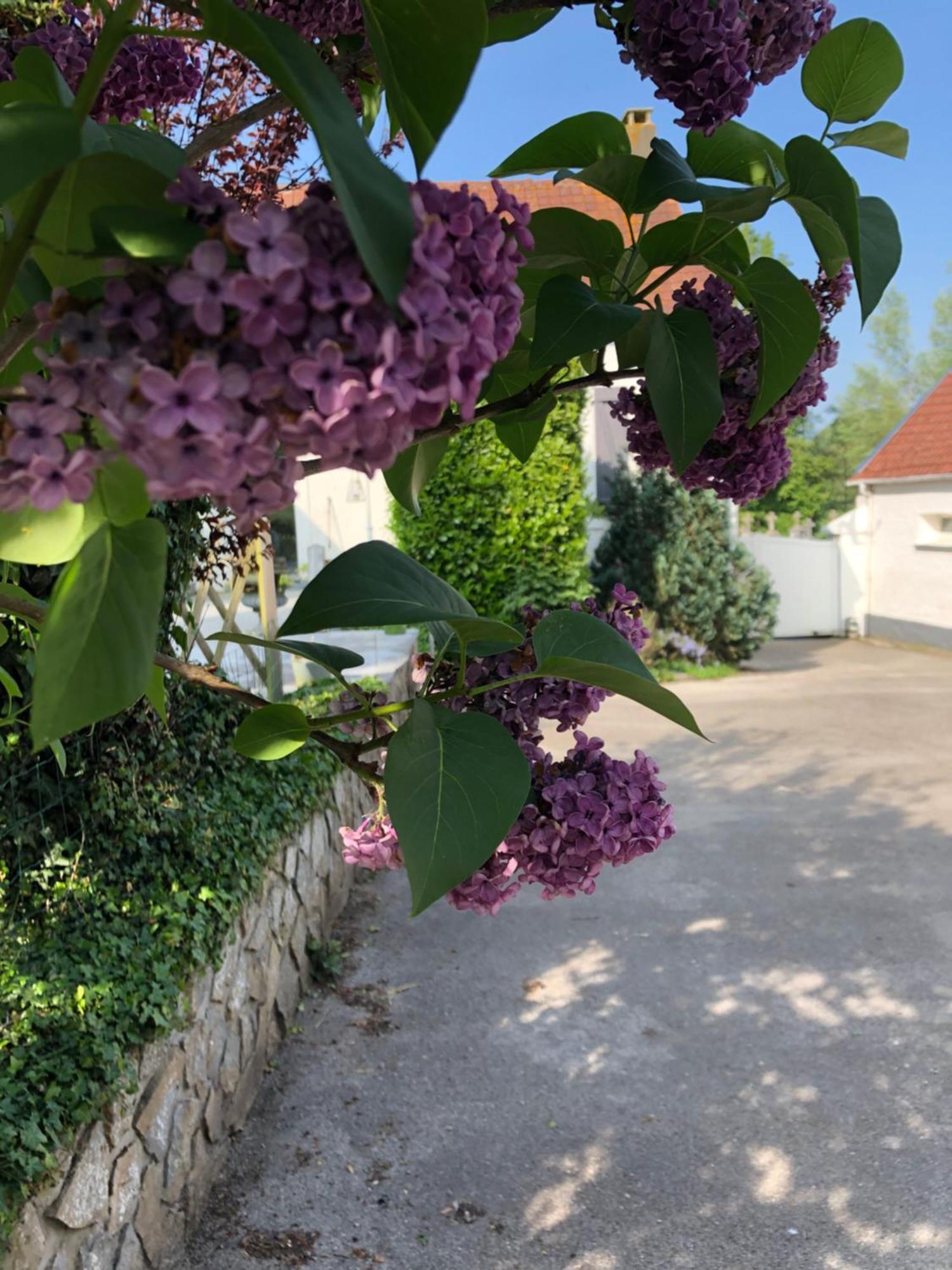 Le Clos De La Pommeraie Carly المظهر الخارجي الصورة